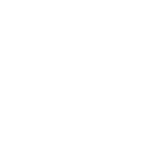 Phone support icon