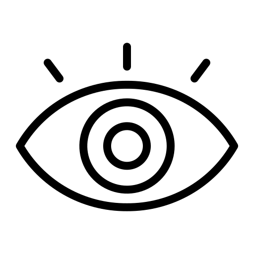 Our Vision Icon